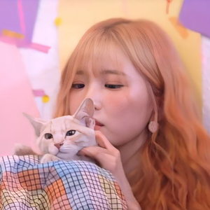 cuppycakks