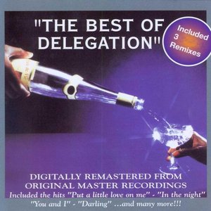 “The Best of Delegation”的封面