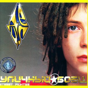 “Уличный Боец”的封面