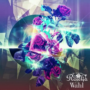 “Wahl”的封面