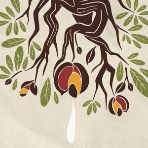 Image for 'O Cerrado Ameaçado'