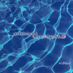 Image for 'Ambient Grooves 3'