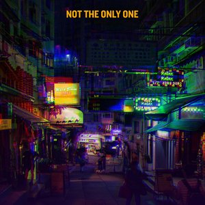 Image for 'Not The Only One'