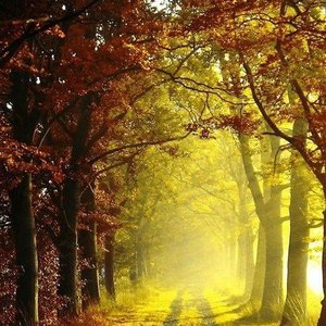 Image for 'Autumn's Kingdom'
