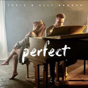 Image for 'Perfect'