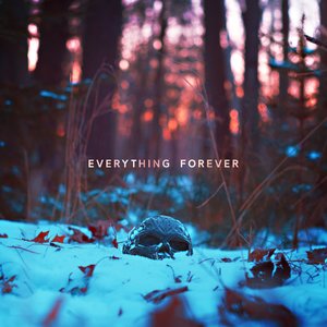 Image for 'Everything Forever'