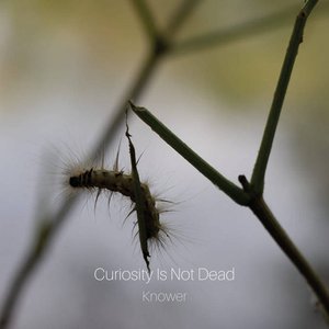 Image for 'Curiosity Is Not Dead'