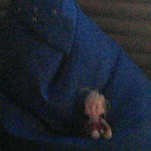 Overteede