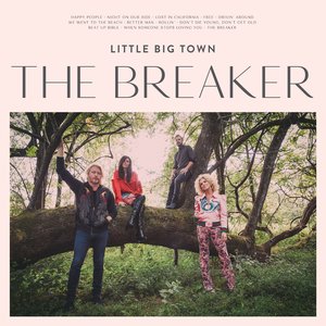 Image for 'The Breaker'