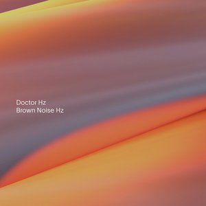 “Doctor Hz”的封面