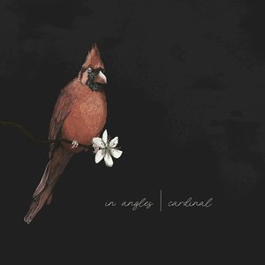 Image for 'Cardinal'