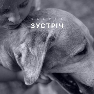 Изображение для 'Зустріч'