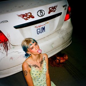 Imagen de 'gum'