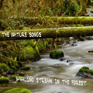 Image for 'Babbling Stream in the Forest'