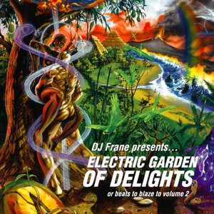 “Electric Garden of Delights”的封面