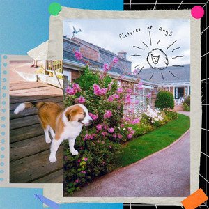 Image for 'Pictures of Dogs'