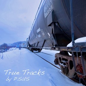 Bild för 'True Tracks'