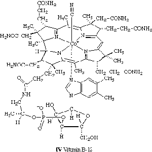 Image for 'the vitamin b12'