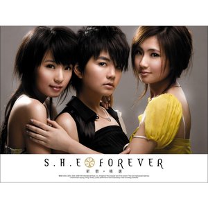 Immagine per 'Forever (新歌+精選)'
