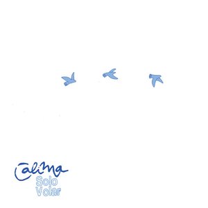 “Solo Volar”的封面