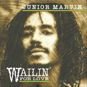 Imagen de 'Junior Marvin'