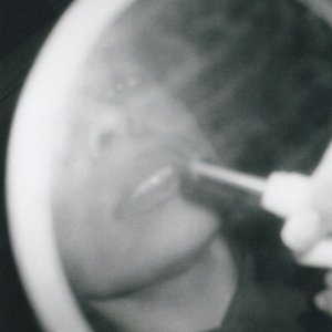 Bild für 'Woman Of Faces (Demo)'