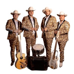 “Los Caimanes De Sinaloa”的封面