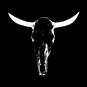 Immagine per 'red heifer'