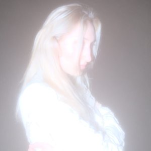 Image for 'subtle silver silhouette'