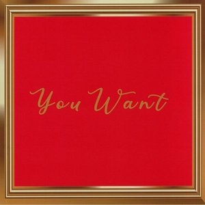 Image for 'You Want'