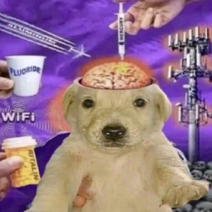 imaginneation
