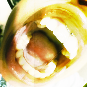 d0gtooth