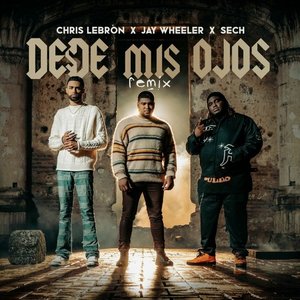 Image for 'Desde Mis Ojos (Remix)'