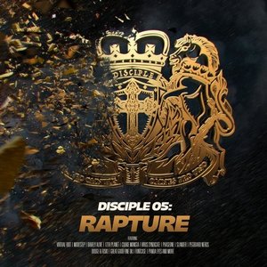 Image for 'Rapture'