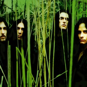 “Type O Negative”的封面