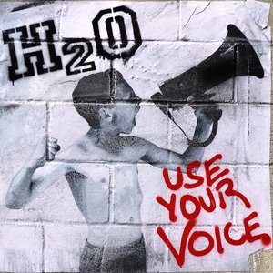 “Use Your Voice”的封面