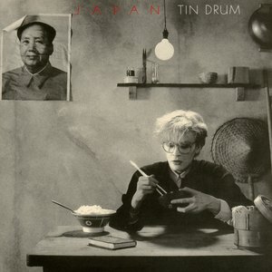 Image for 'Tin Drum'