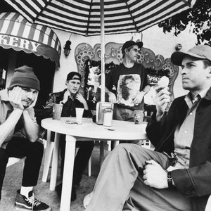 Image for 'The Vandals'