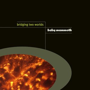 “Bridging Two Worlds”的封面