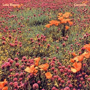 Image for 'Late Bloom'