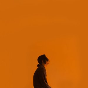 Image for 'Waves Aren't Afraid of Falling'
