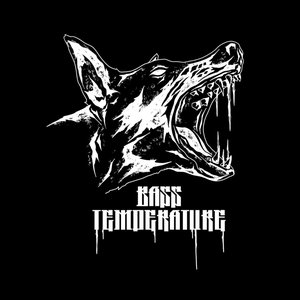 Image for 'Bass Température'