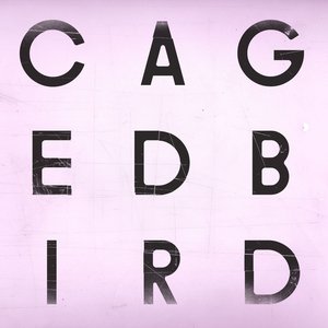 Image for 'A Caged Bird/Imitations of Life'