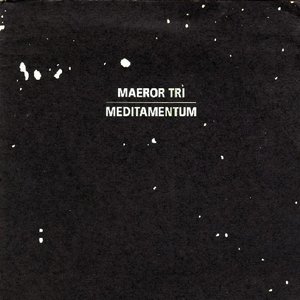 “Meditamentum”的封面