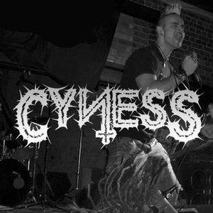 Image for 'Cyness'