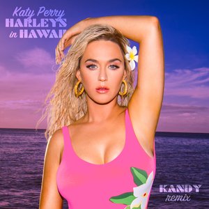 Image for 'Harleys In Hawaii (KANDY Remix)'