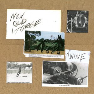 “New Old Horse”的封面