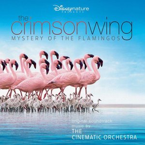 Image for 'The Crimson Wing: Mystery Of The Flamingos'