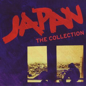 “The Collection”的封面