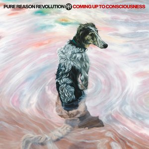 Immagine per 'Coming Up To Consciousness'
